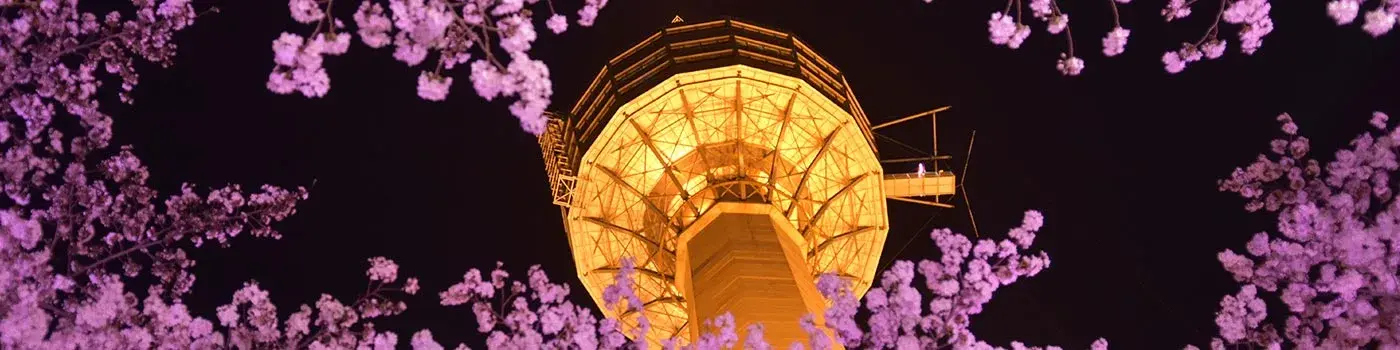 South Korea - Daegu - Cover Image