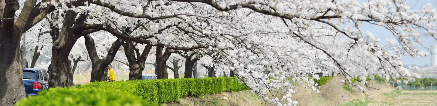 South Korea - Gangwon-do - Cover Image