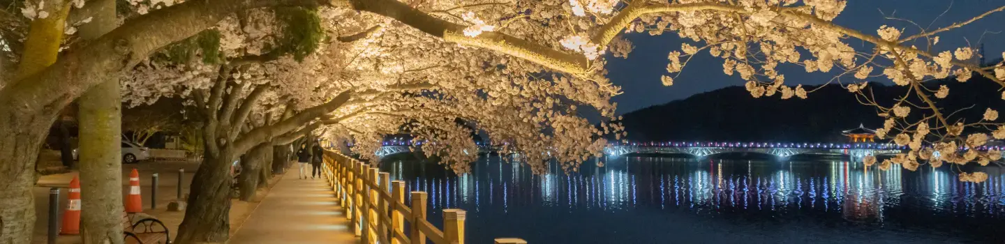 South Korea - Gyeongbuk - Cover Image