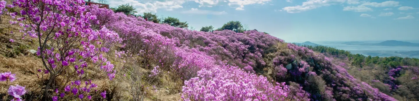 South Korea - Incheon - Cover Image