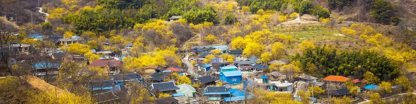 South Korea - The Rest of South Korea - Cover Image