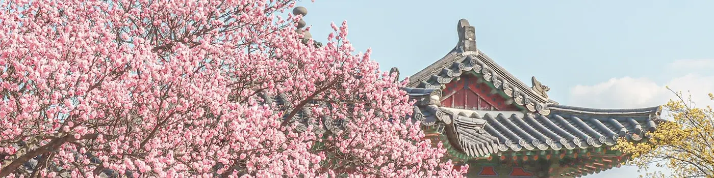 South Korea - Seoul - Cover Image