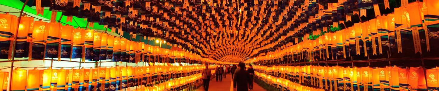 Unbe-leaf-able Festivals & Tours to Enjoy This Fall in Korea