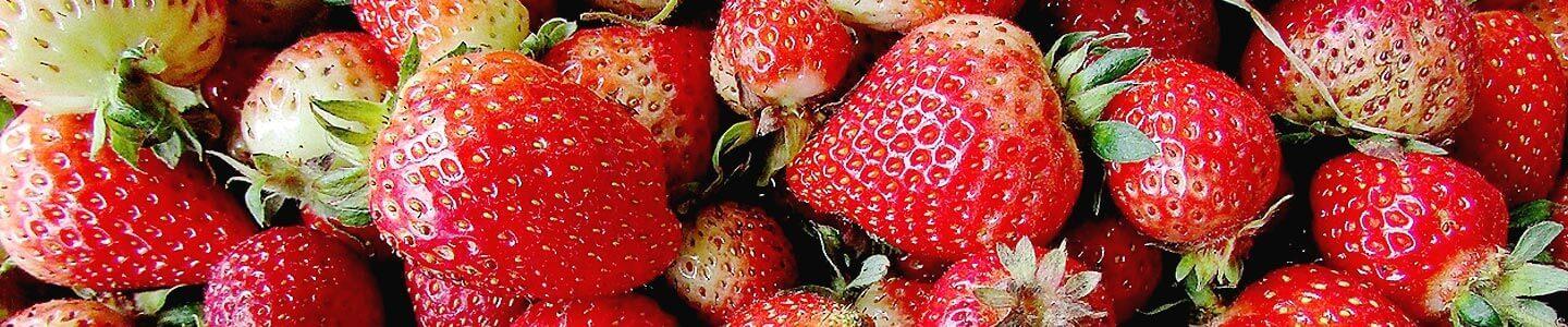 Fruit Picking in Korea - Pick Your Own!