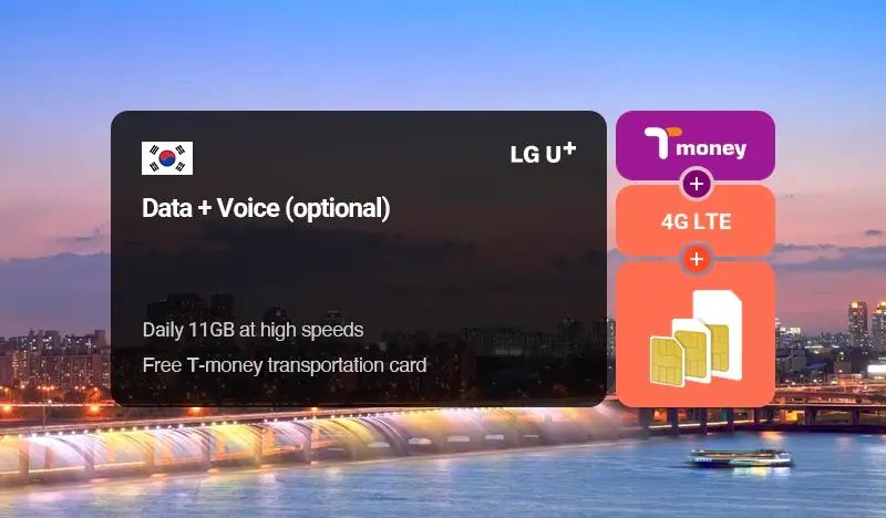 Unlimited Data Sim Card (1~90 day) + T-money Transportation Card by LG U+ - Pick up from Incheon Airport & Gimpo Airport & Gimhae Airport - main view