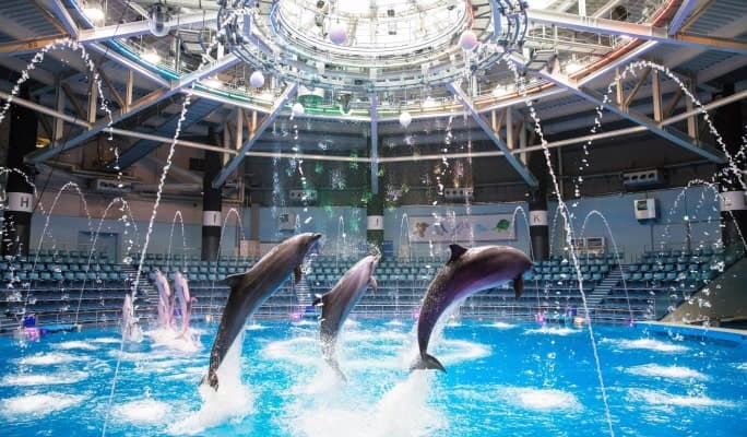 Tokyo Maxell Aqua Park Shinagawa Admission Ticket - main view