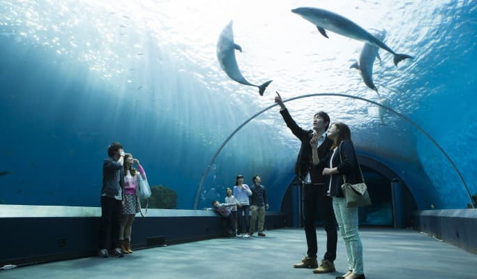 Yokohama Hakkeijima Sea Paradise 1-Day Pass - main view