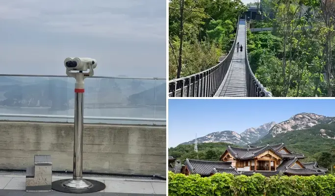 Aegibong Peace Ecopark & Suspension Bridge Tour (+ Eunpyeong Hanok Village/ Haneul Park option) - main view