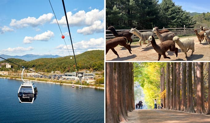 Alpaca World + Nami Island + Samaksan Mountain Lake Cable Car 1 Day Tour - from Seoul - main view