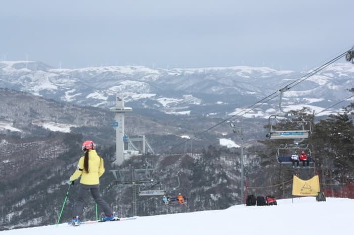 1 Day Ski/Snowboard Tour: Alpensia Ski Resort - main view