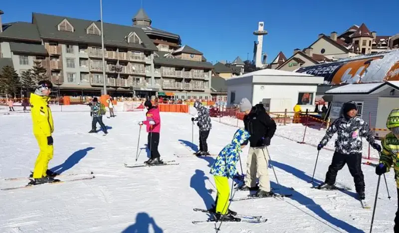 Alpensia Ski Resort: Basic 1-hour Group Ski Lesson (Lesson Only) - main view