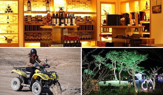 Ansan 1 Day Tour: ATV + Winery + Starlight Village (~Oct 12) - main view