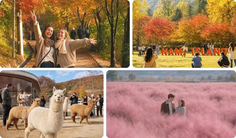 [Promo Musim Gugur] Tur 1 Hari Pemandangan Musim Gugur Seoul & Sekitarnya: Gunung Ansan (+ Opsi Pulau Nami/ Desa Hanok Eunpyeong/ Taman Alpaka) (16 Sep~30 Nov)