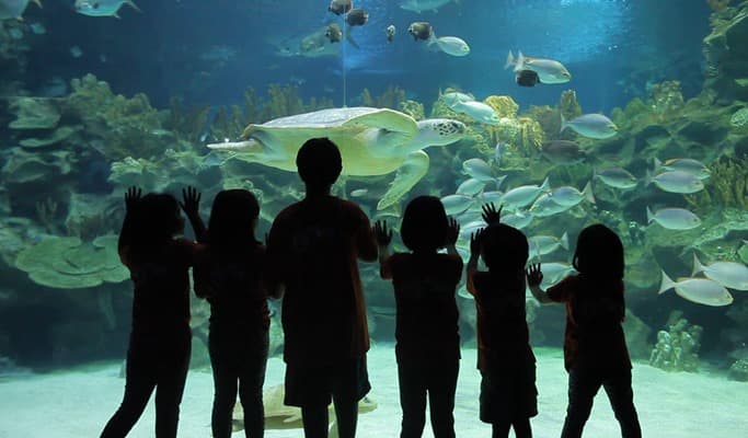 Kuala Lumpur Aquaria KLCC Discount Ticket - main view