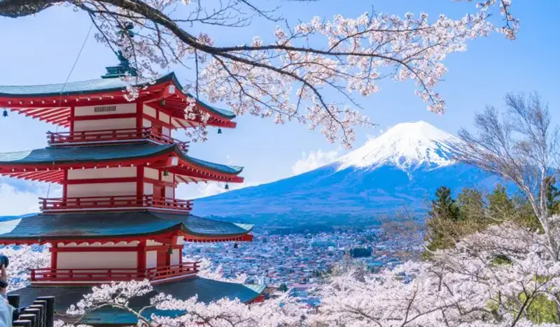Mt. Fuji Special: Oshino Hakkai + Lake Kawaguchi 1 Day Tour from Tokyo - main view