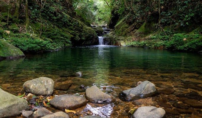 Bach Ma National Park: Hai Vong Dai & Do Quyen Waterfall 1 Day Trekking Tour - from Hue City - main view