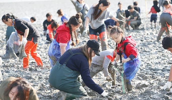 [UNESCO World Heritage] Seoul-Suncheon-Boseong Getbol (Tidal Flat) 5D4N Tour - main view