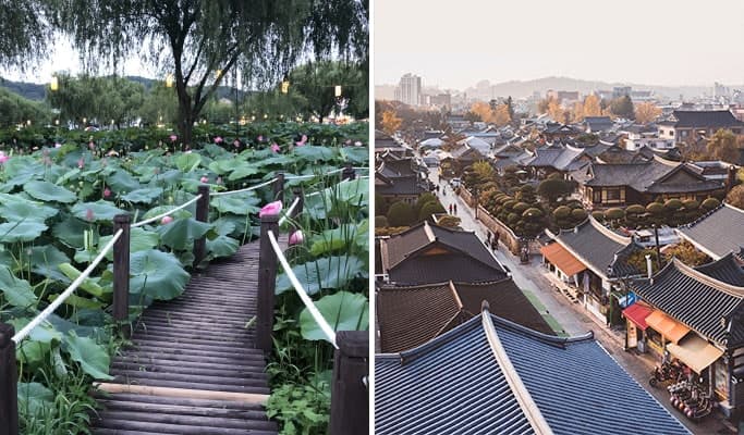 Summer Special: Buyeo Seodong Lotus Flower Festival & Jeonju Hanok Village 1 Day Tour (Jul 10~21) - main view