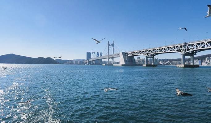 Busan City Tour Bus + Yacht Tour Combo - main view