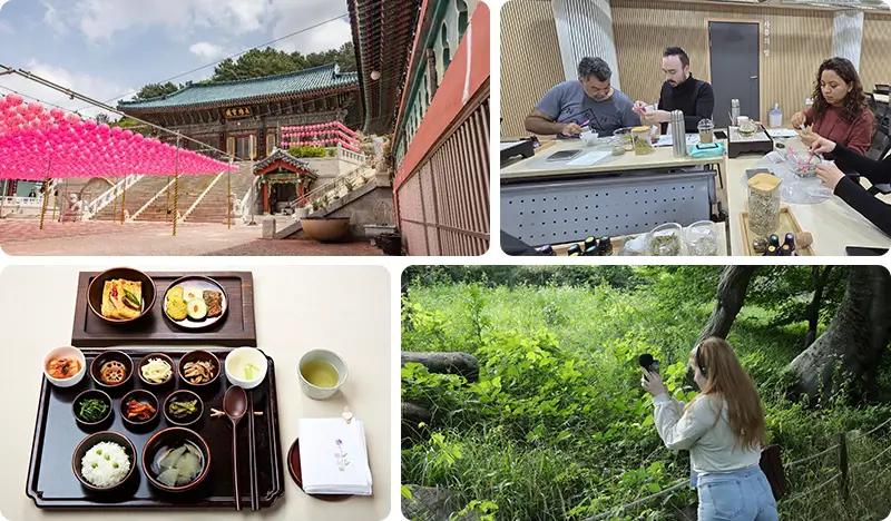 Busan Hyewonjeongsa Temple Half Day Tour: Forest Trail Trekking + Aromatherapy + Korean Temple Food Experience - main view