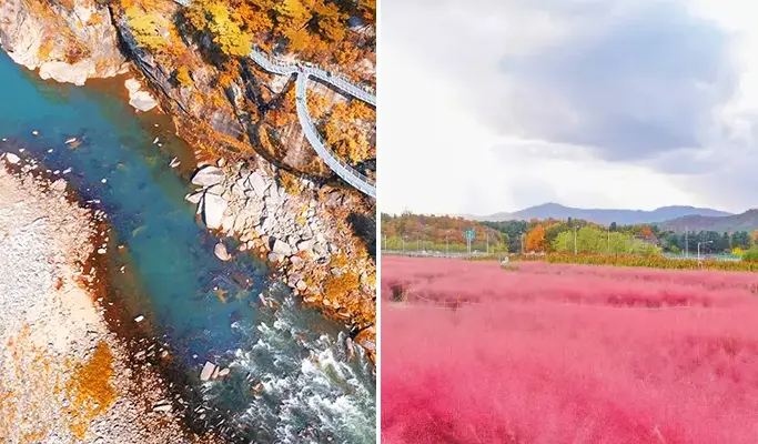 Cheorwon DMZ 1 Day Tour with UNESCO Sites and Seasonal Flower Parks - from Seoul - main view