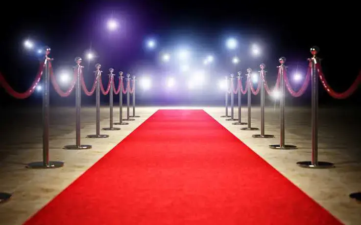2026 D Awards Red Carpet Only Ticket (for Standing Ticket Holders Only) - main view