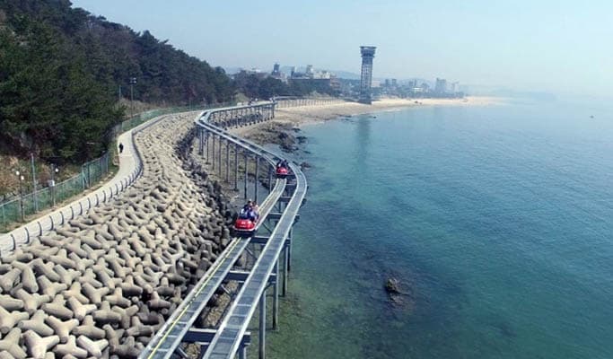 Daecheon Beach Sky Bike & Grape Picking Tour (Sep 7~Oct 10) - main view