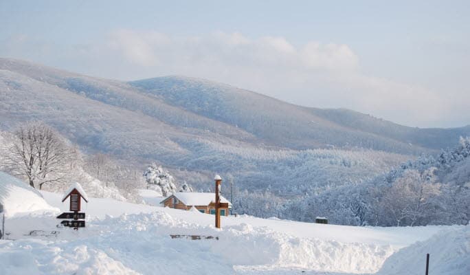 雪嶽山國家公園私人旅遊（+ 南怡島/洛山寺/大關嶺羊群牧場/束草觀光水產市場） - main view
