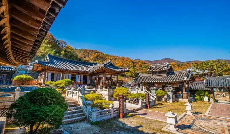 MBC Dae Jang Geum Theme Park Half Day Tour from Seoul - main view
