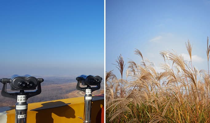 DMZ & Haneul Park Silver Grass Festival 1 Day Tour (Oct 15~20) - main view