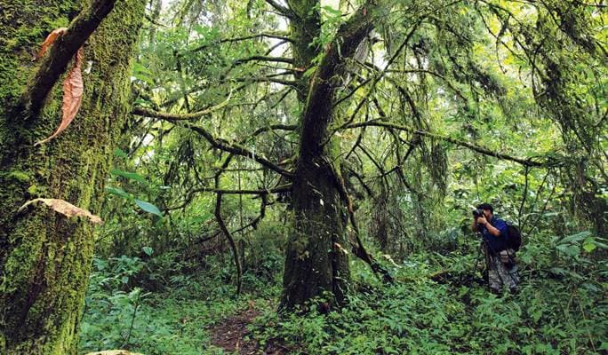 Doi Suthep-Pui National Park Trekking Tour in Chiang Mai (Full Day) - main view