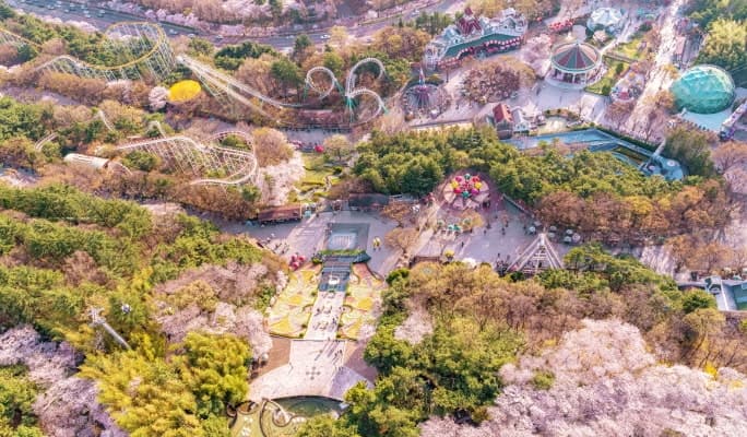 Spring Special: Daegu E-World Cherry Blossom Tour - from Busan (Mar 25~Apr 7) - main view