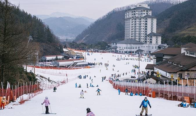2D1N Ski/Snowboard Tour: Elysian Gangchon Ski Resort - Nearby Pension - main view