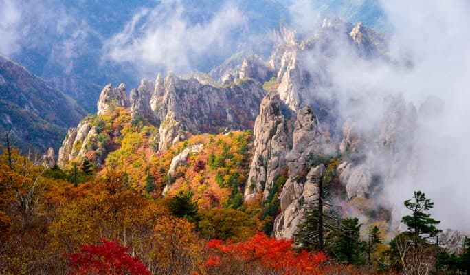 [Autumn Foliage] Seoraksan/ Naejangsan/ Odaesan/ Daedunsan/ Jangtaesan 1 Day Tour- from Seoul (Oct 14~Nov 26) - main view