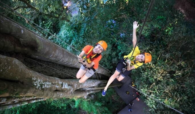 Flight of the Gibbon - Zipline Adventure from Bangkok (+Cycling Tour) - main view