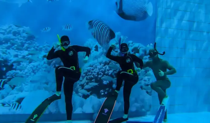 Freediving 1 Day Experience in Daejeon - main view