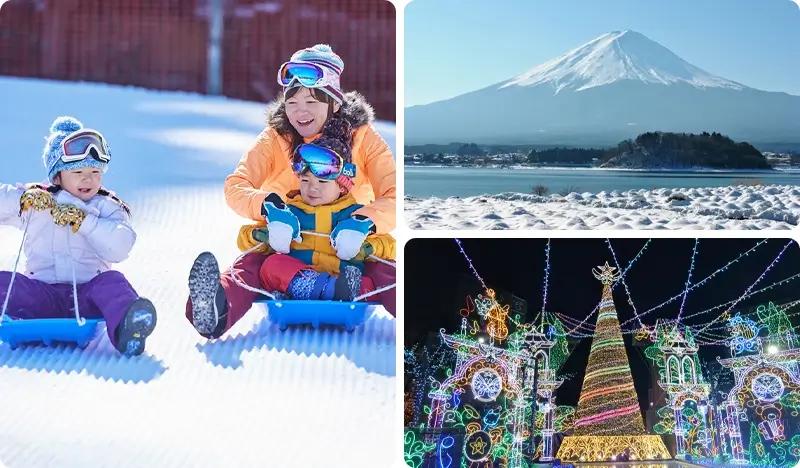 [Winter Special] Mt. Fuji Snow Sled & Sagamiko Illumination 1 Day Tour - from Tokyo (Dec 19~Feb 27) - main view