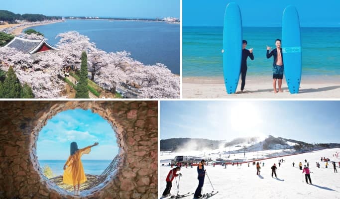 2D1N Gangneung Season's Best Tour - main view