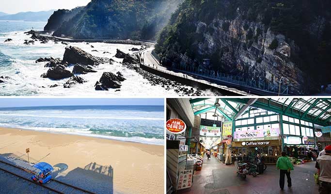 Jeongdong-Simgok Badabuchae-gil Trail + Gangneung Jungang Market + Jeongdongjin Rail Bike 1 Day Tour - main view