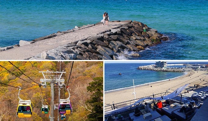 Korea Virtual Tour - Fun & Informative Gangneung (Live Commentary) - main view