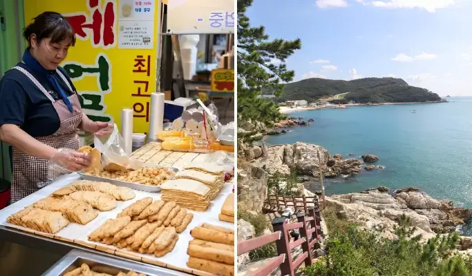 [BOF 2025 SPECIAL] Busan Gourmet Walking Tour from Busan KTX Station - main view