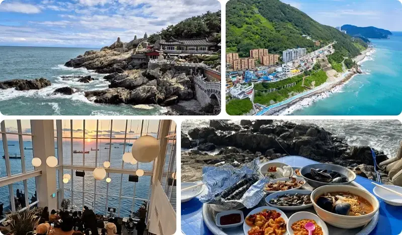 Busan Local 1 Day Tour: Haedong Younggungsa Temple + Yeongdo Bridge + Fishing & Haenyeo Village Experience & More - main view