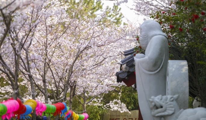 春季特輯：釜山櫻花一日遊（+住宿選擇）（3月29日~4月7日） - main view
