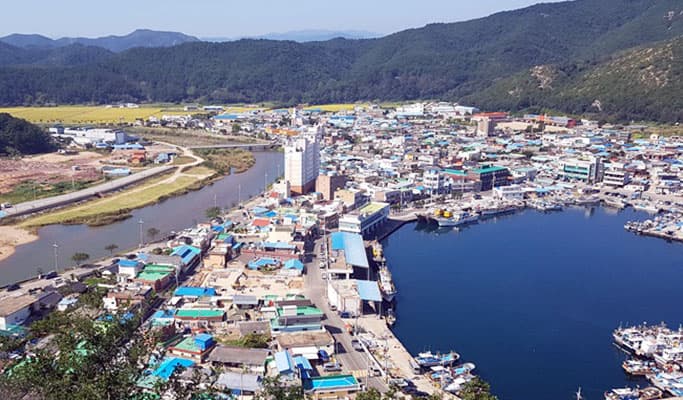 Gyeongbuk Yeongdeok Haeparang Trail No. 21 Trekking Tour from Daegu - main view