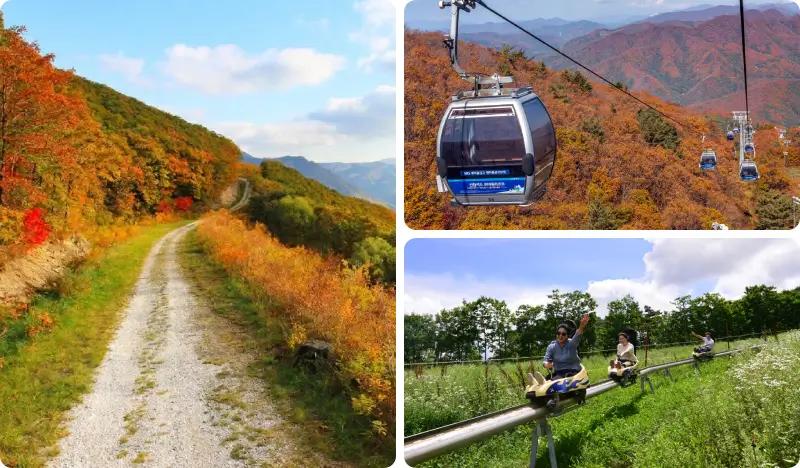 [Trazy Special] Autumn Foliage Hiking, Alpine Coaster, Gondola Ride & Yoga at High1 Resort (Oct 17~18)