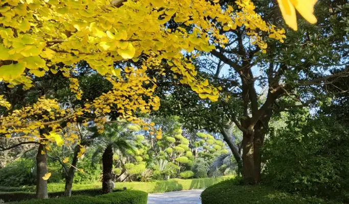 Jeju Ilchul Land Discount Ticket - main view