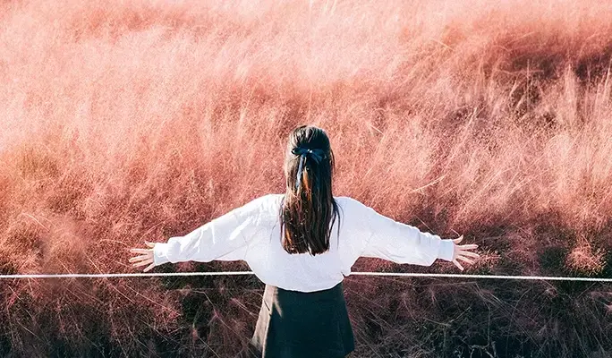 [Autumn Foliage] Jeju Pink Muhly 1 Day Tour (Sept 19~Oct 19) - main view