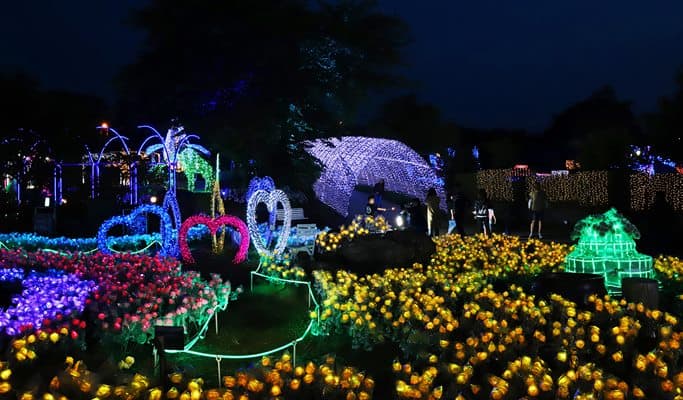 Jeju Light Garden Discount Ticket - main view