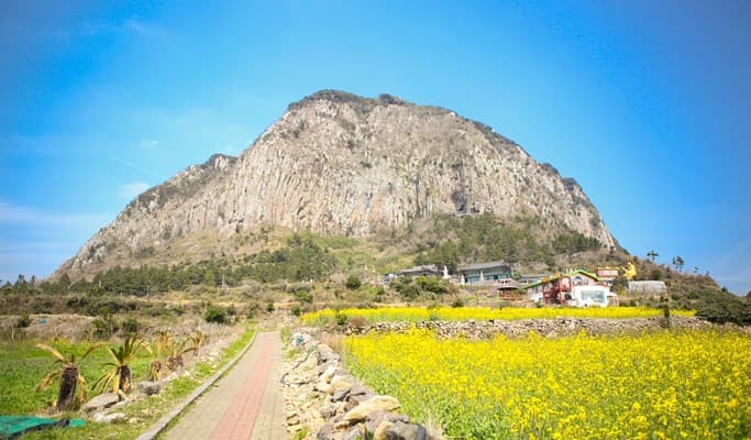Jeju 3D2N/4D3N Hotel + Bus Tour - main view