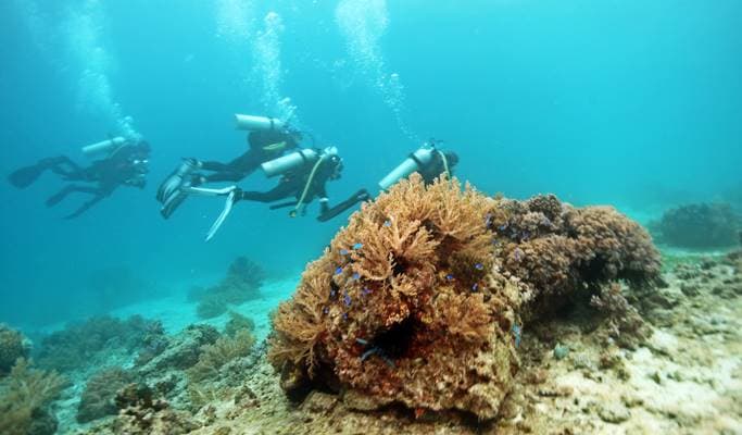 Scuba Diving near Seongsan Ilchulbong, Jeju Island - main view